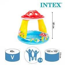 Детский надувной бассейн для детей от 1 года Intex Mushroom 102х89 (57114)