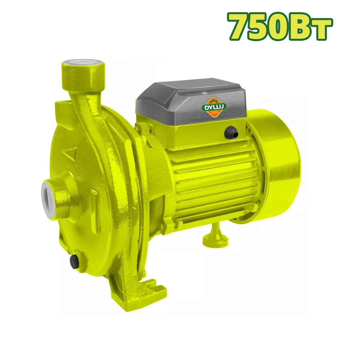 Насос центробежный DTWPCA03 DYLLU