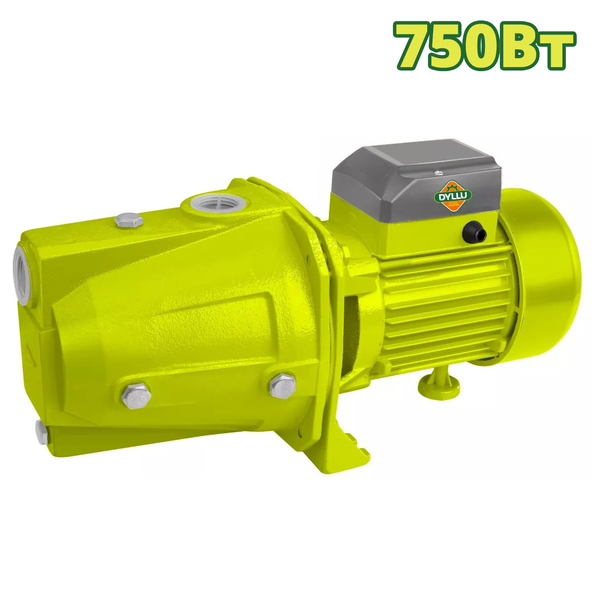 Насос cамовсасывающий DTWPJA03 DYLLU