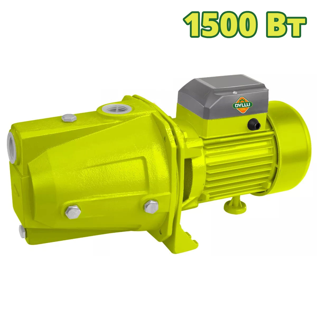 Насос cамовсасывающий DTWPJA05 DYLLU