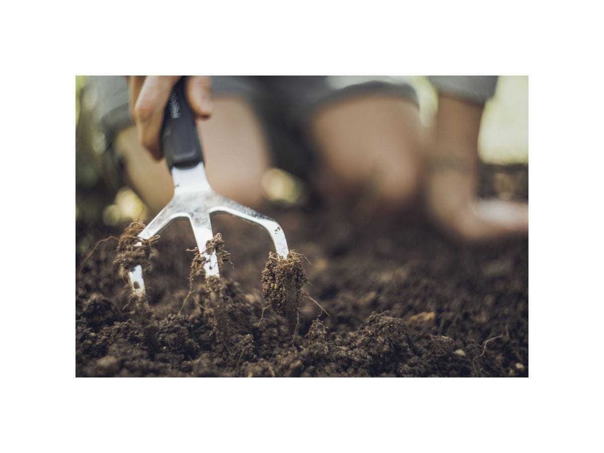 Культиватор FISKARS Xact