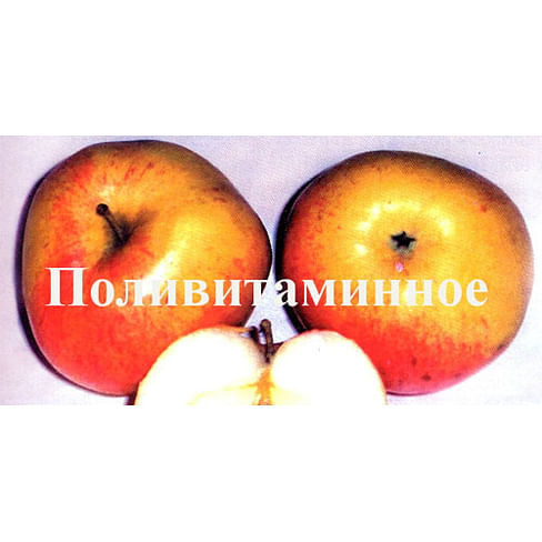Яблоня "Поливитаминное" Садоград 2хлетние саженцы