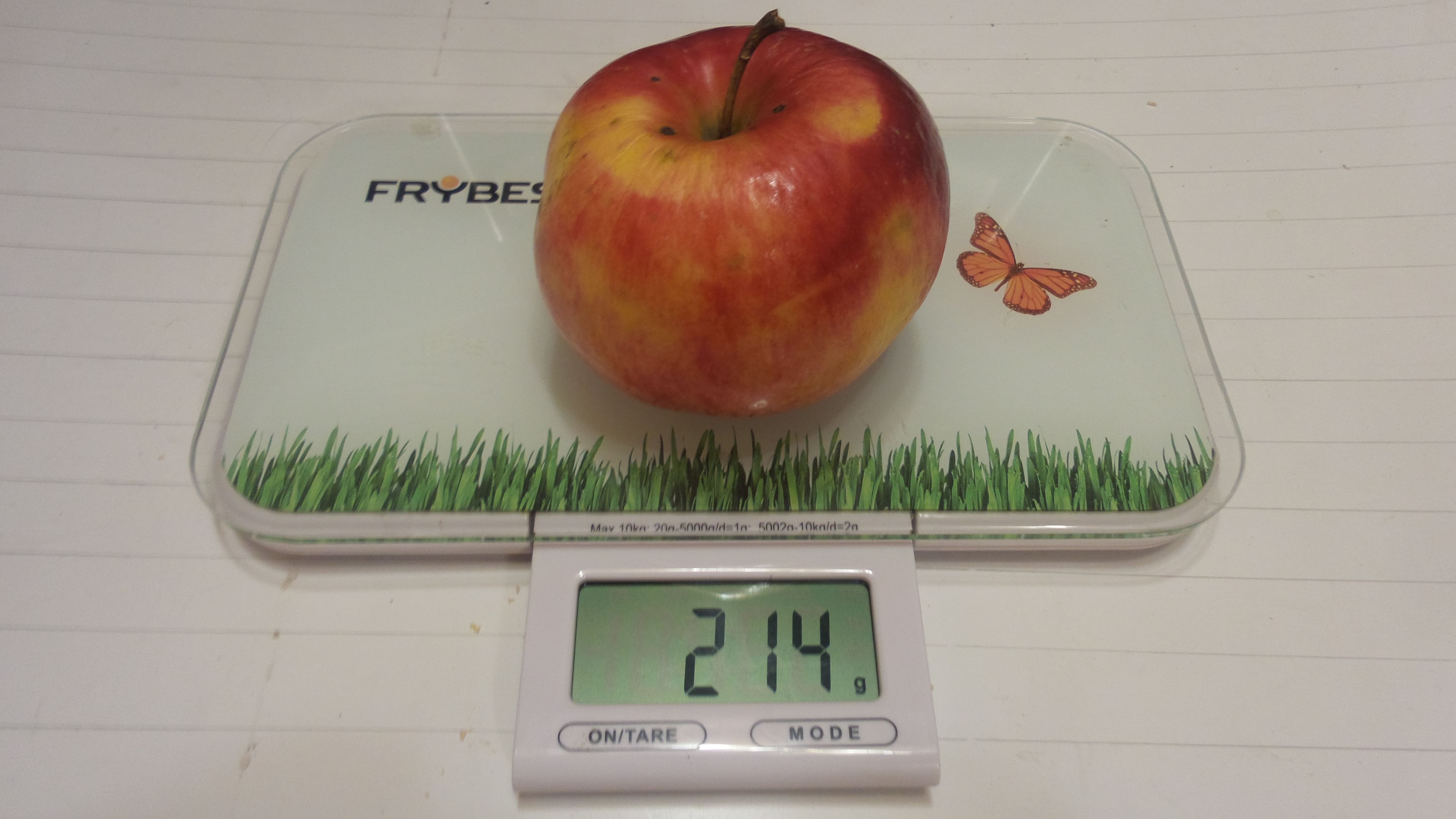 Яблоня "Уэлси" на полукарликовом подвое Садоград 2хлетние саженцы