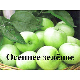 Яблоня "Осеннее зелёное" на карликовом подвое Садоград 2хлетние саженцы