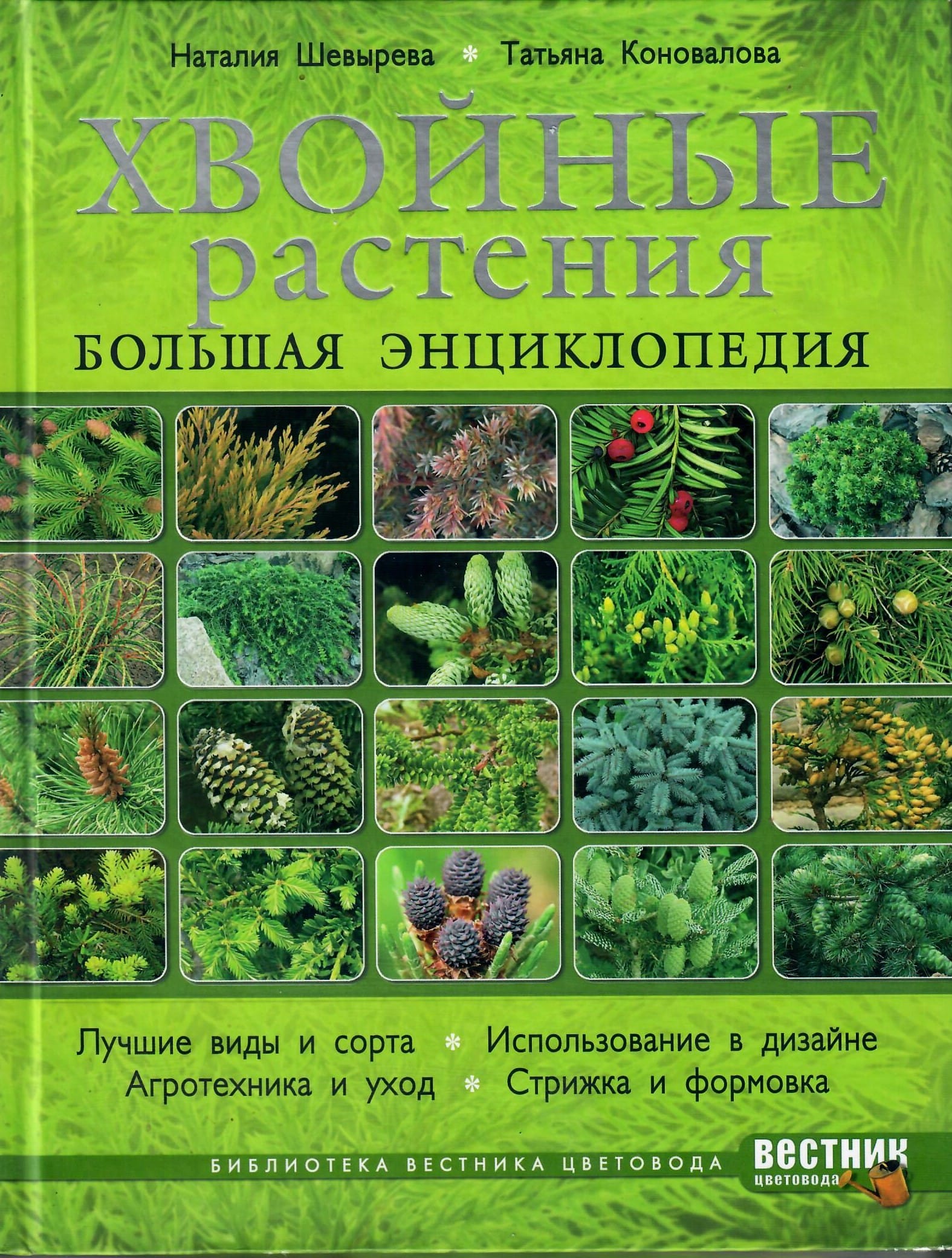 Хвойные растения. Большая энциклопедия. Наталия Шевырева, Татьяна Коновалова. Коллекционная литература