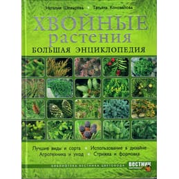 Хвойные растения. Большая энциклопедия. Наталия Шевырева, Татьяна Коновалова. Коллекционная литература