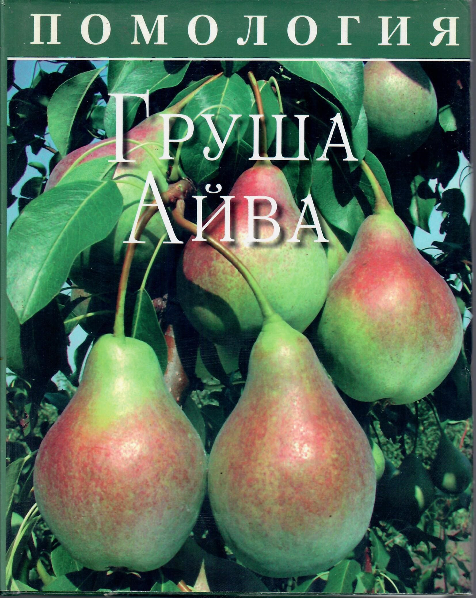 Помология. Груша. Айва. Том 2. Седов Е. Н. Коллекционная литература