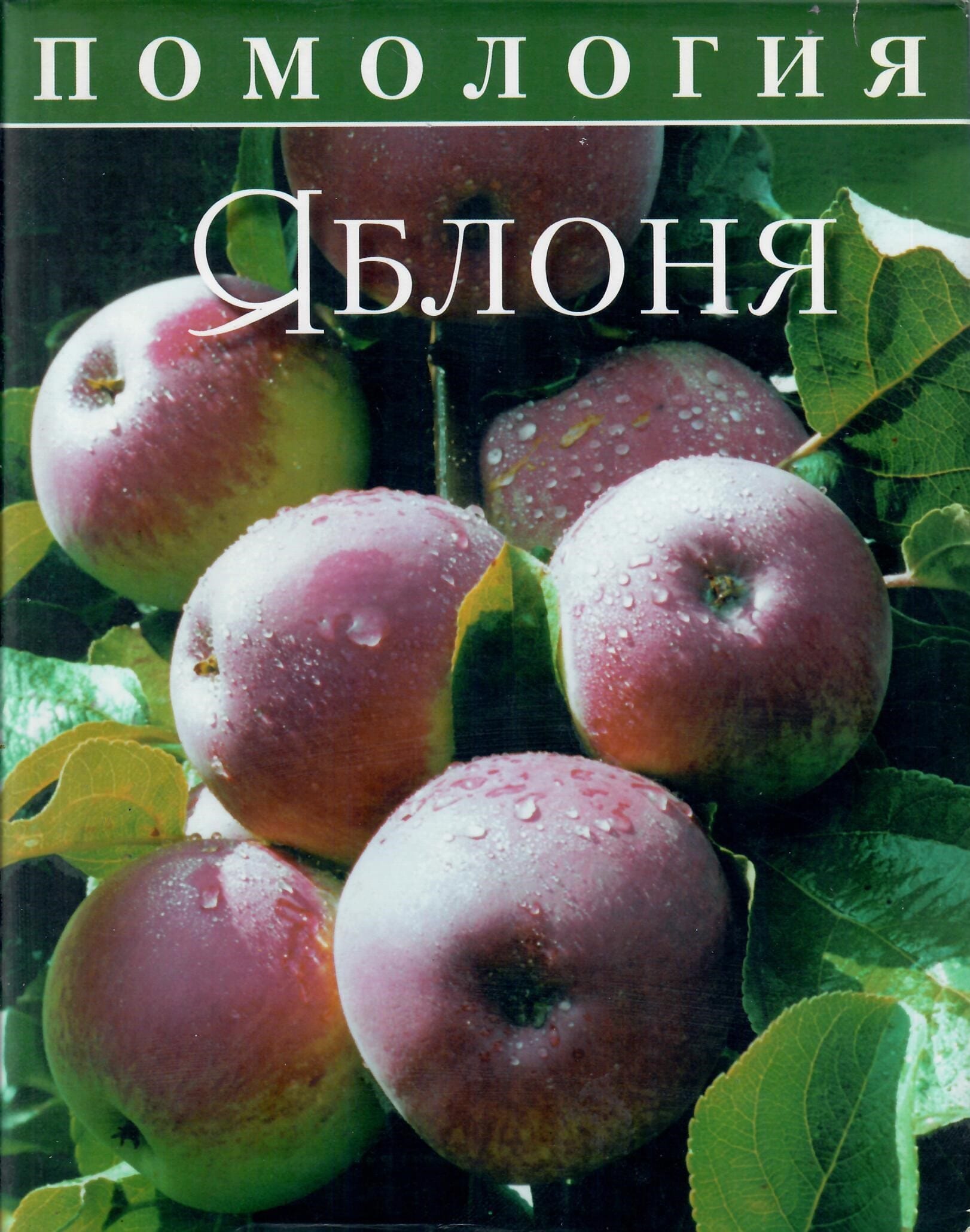 Помология. Яблоня. Том 1. Седов Е. Н. Коллекционная литература