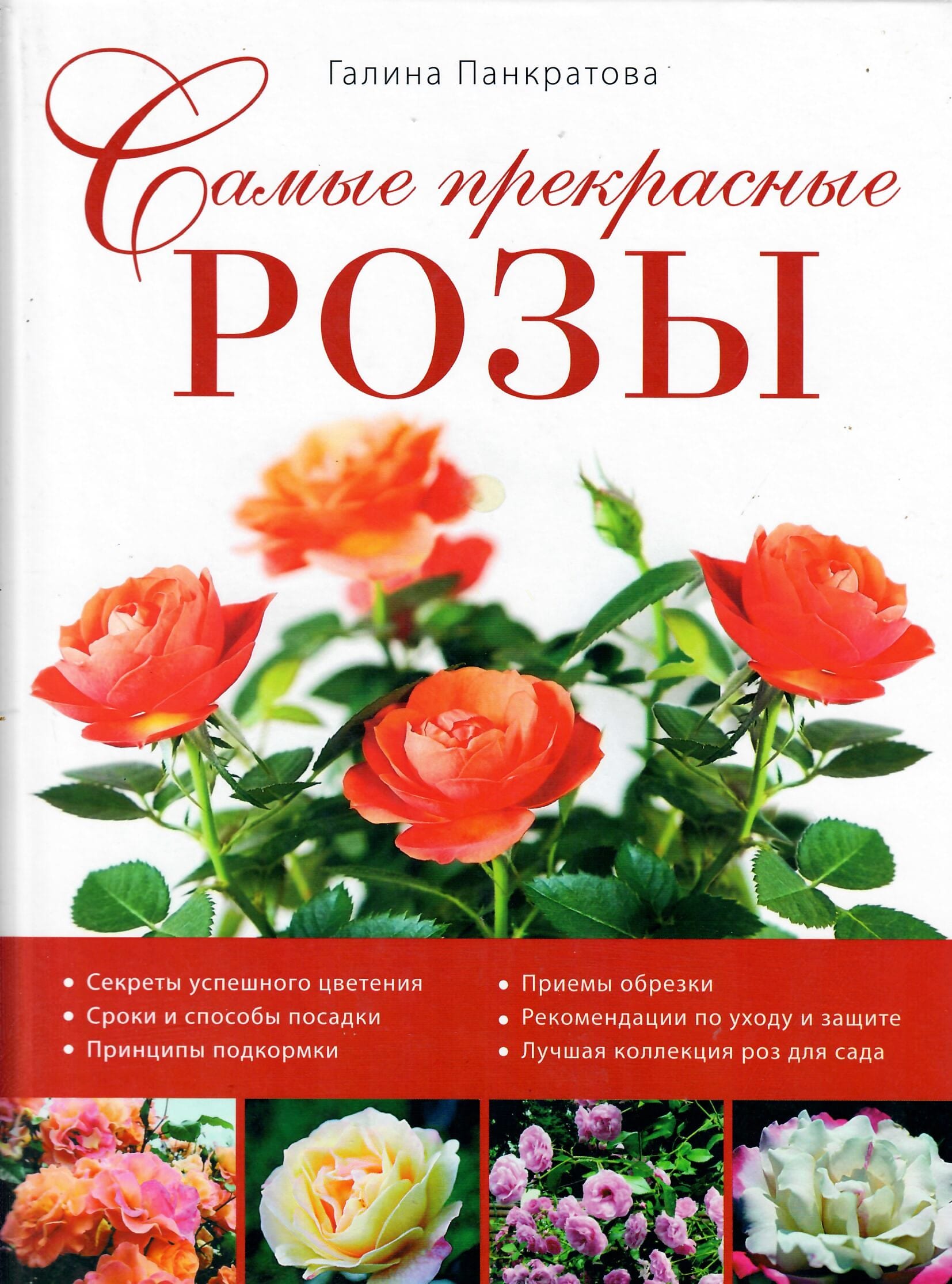 Самые прекрасные розы. Галина Панкратова. Коллекционная литература