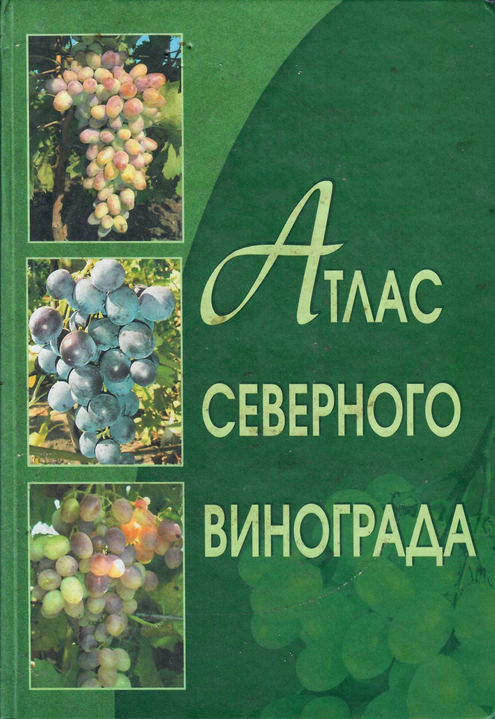 Атлас северного винограда. М. Абузов. Коллекционная литература