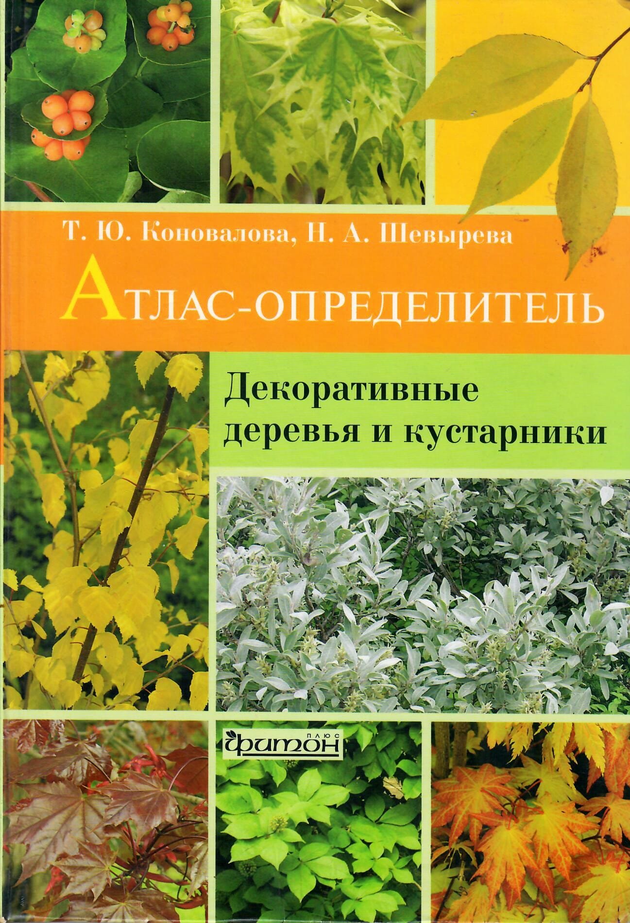Атлас-определитель. Декоративные деревья и кустарники. Т. Ю. Коновалова, Н. А. Шевырёва. Коллекционная литература