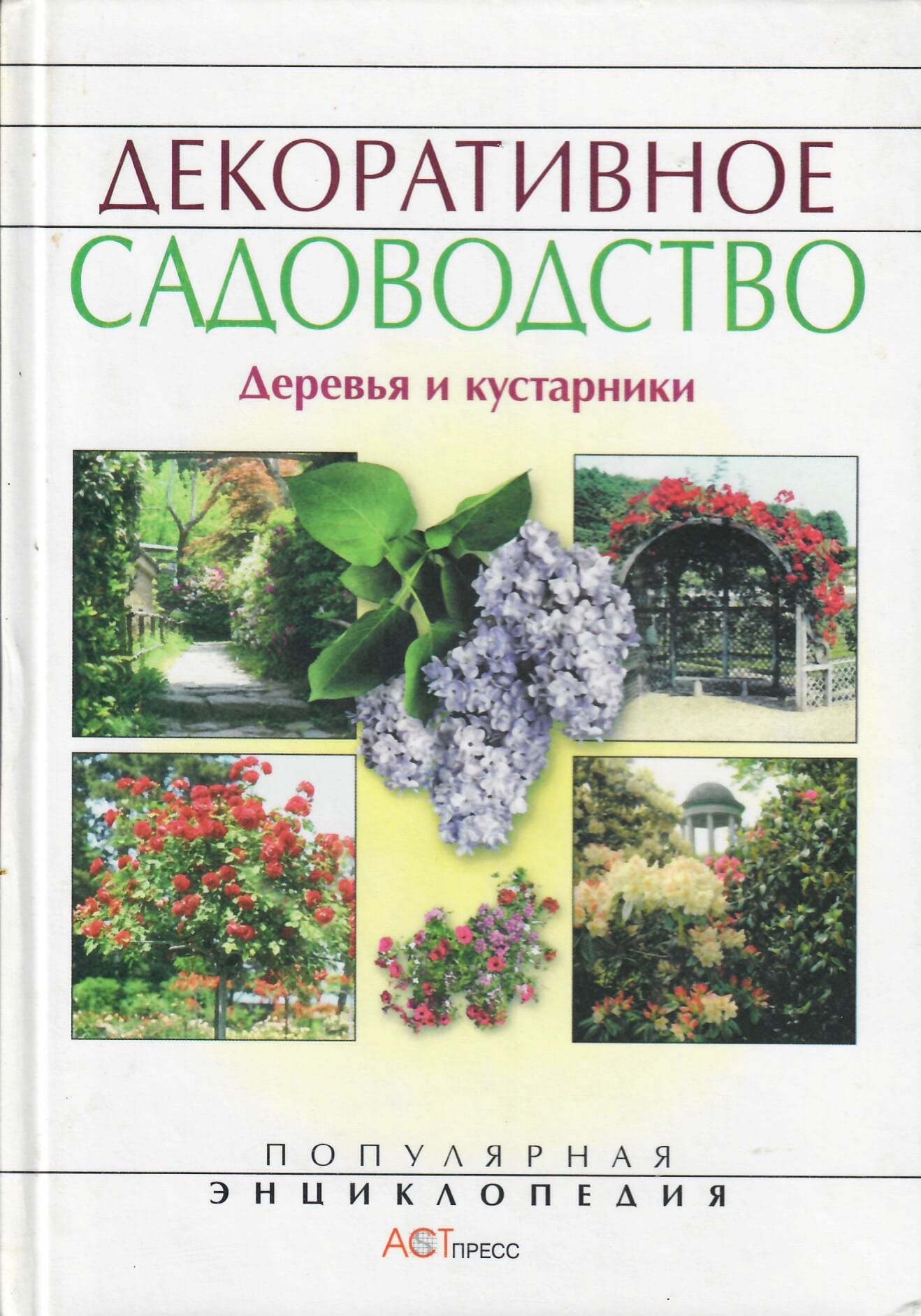 Декоративное садоводство. Деревья и кустарники. Популярная энциклопедия. Е. Аксёнов, Н. Аксёнова. Коллекционная литература