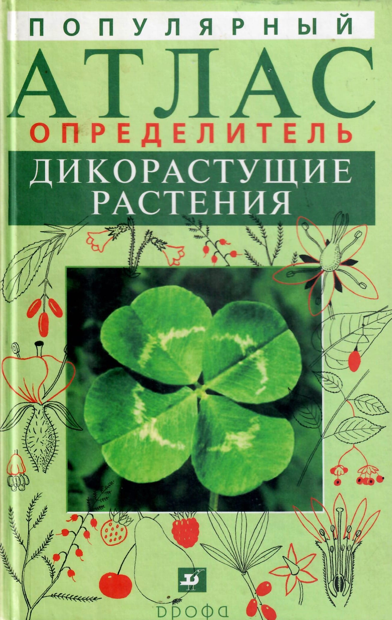 Популярный атлас-определитель . Дикорастущие растения. Новиков В. С., Губанов И. А. Коллекционная литература