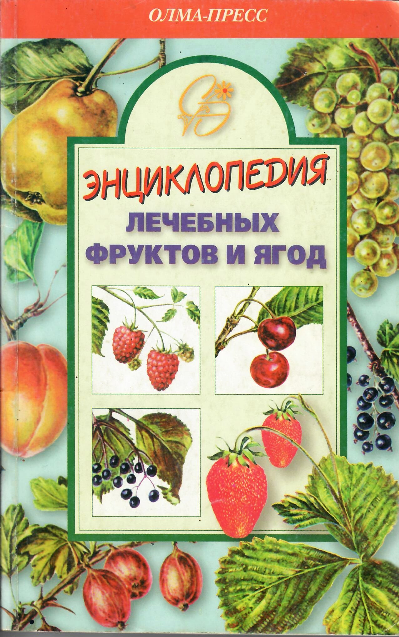 Энциклопедия лечебных фруктов и ягод. А. Блейз. Коллекционная литература