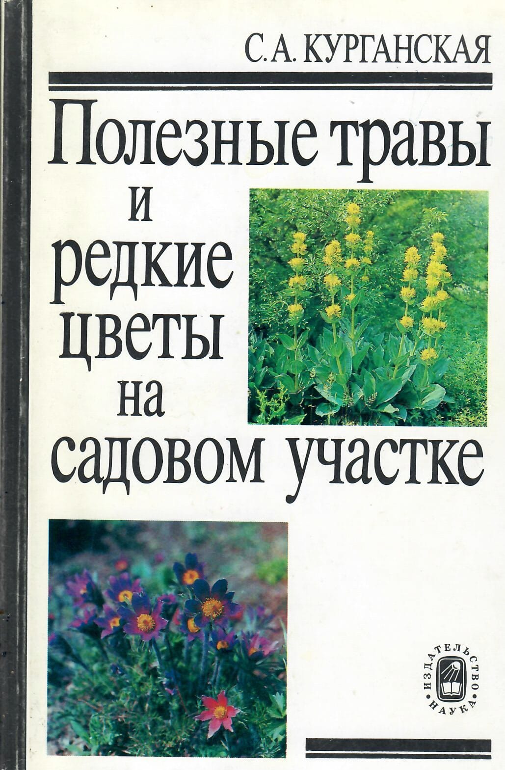 Полезные травы и редкие цветы на садовом участке. С. А. Курганская. Коллекционная литература