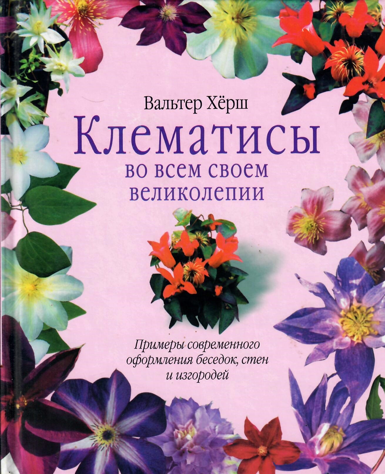 Клематисы во всём своём великолепии. Примеры современного оформления беседок, стен и изгородей. Перевод с немецкого. Вальтер Хёрш. Коллекционная литература