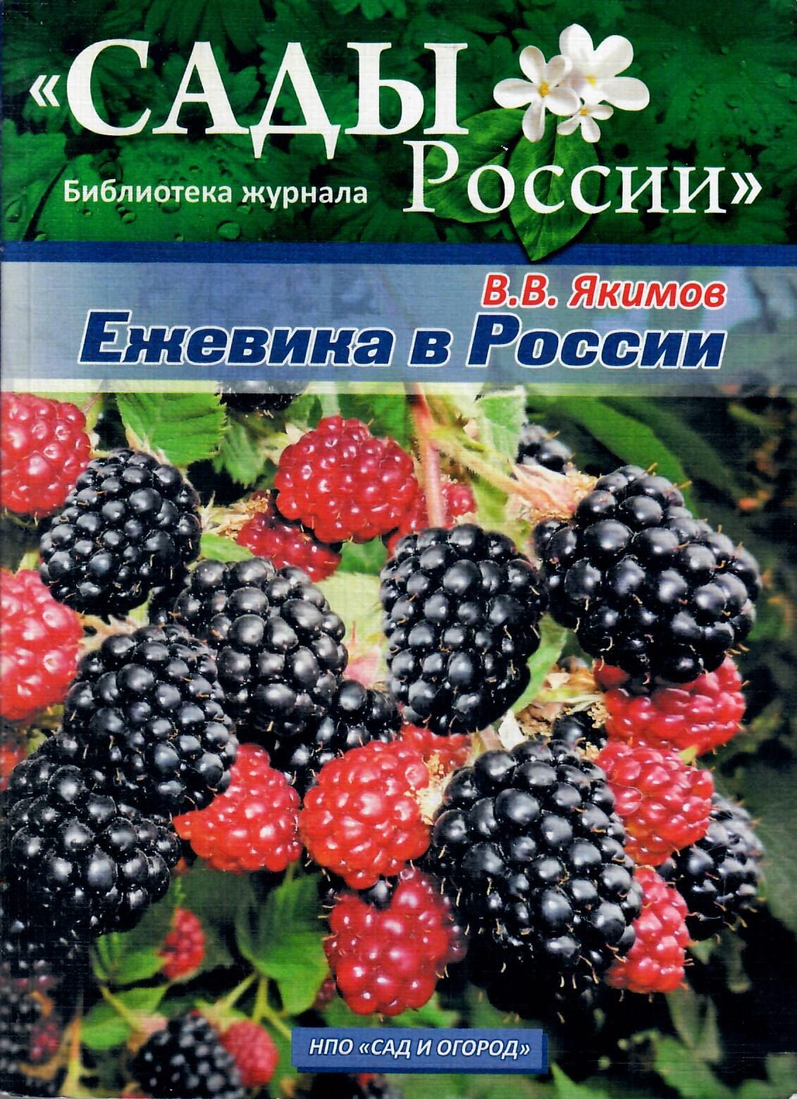 Ежевика в России. В. В. Якимов. Коллекционная литература