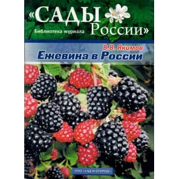 Ежевика в России. В. В. Якимов. Коллекционная литература