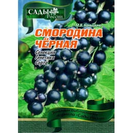 Смородина чёрная. Селекция, генетика, сорта. М. В. Каньшина. Коллекционная литература