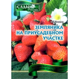 Земляника на приусадебном участке. В. С. Закотин. Коллекционная литература