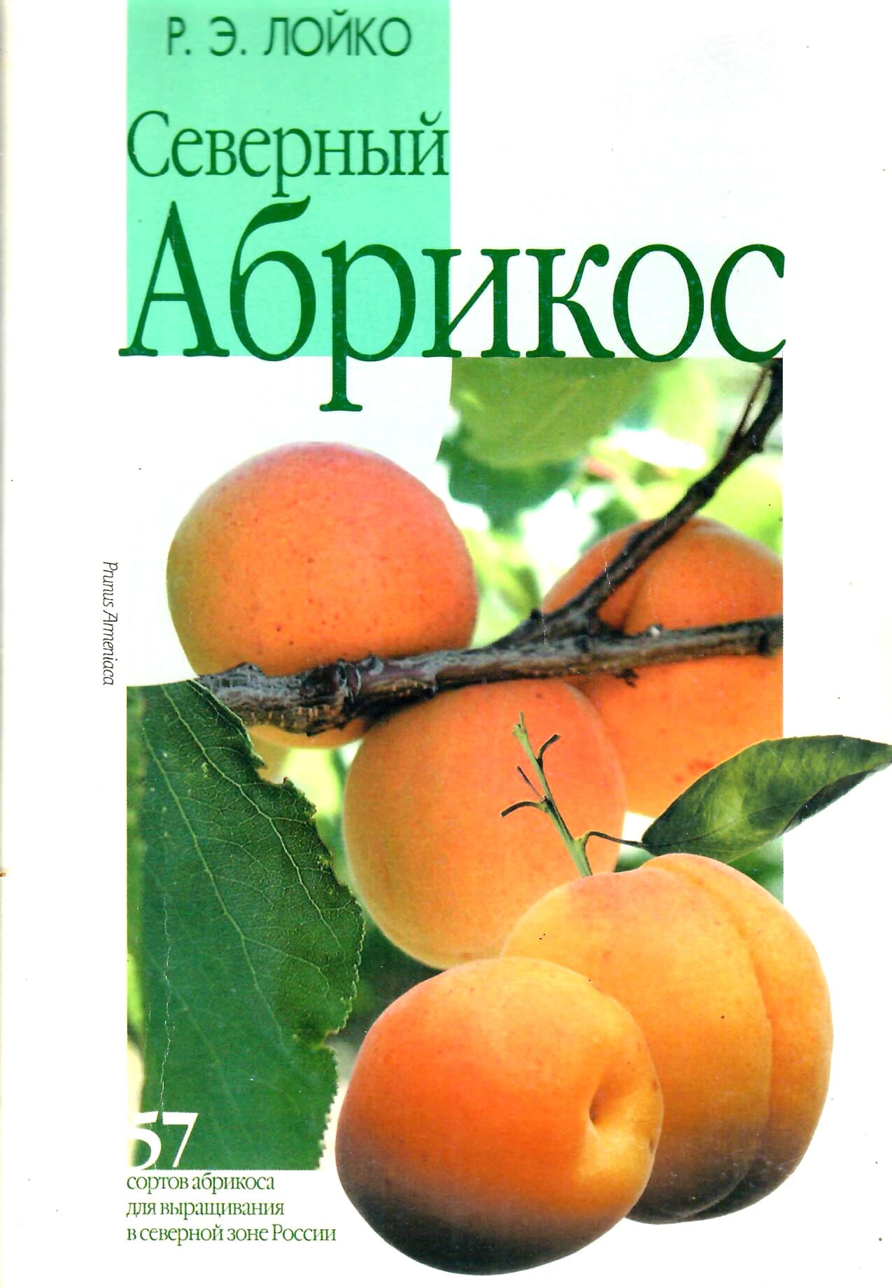 Северный абрикос. 57 сортов абрикоса для выращивания в северной зоне России. Р. Э. Лойко. Коллекционная литература