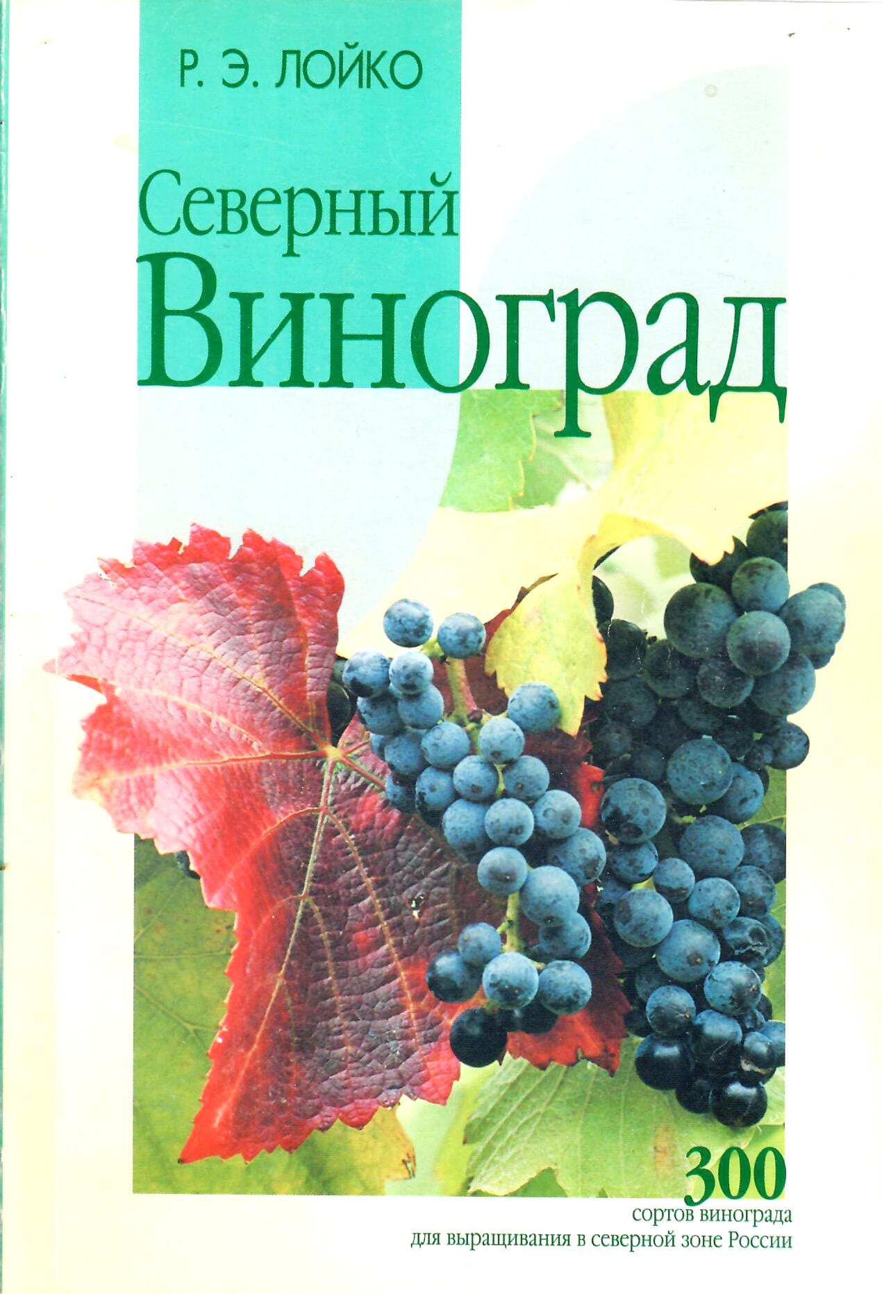 Северный виноград. 300 сортов для выращивания в северной зоне России. Р. Э. Лойко. Коллекционная литература