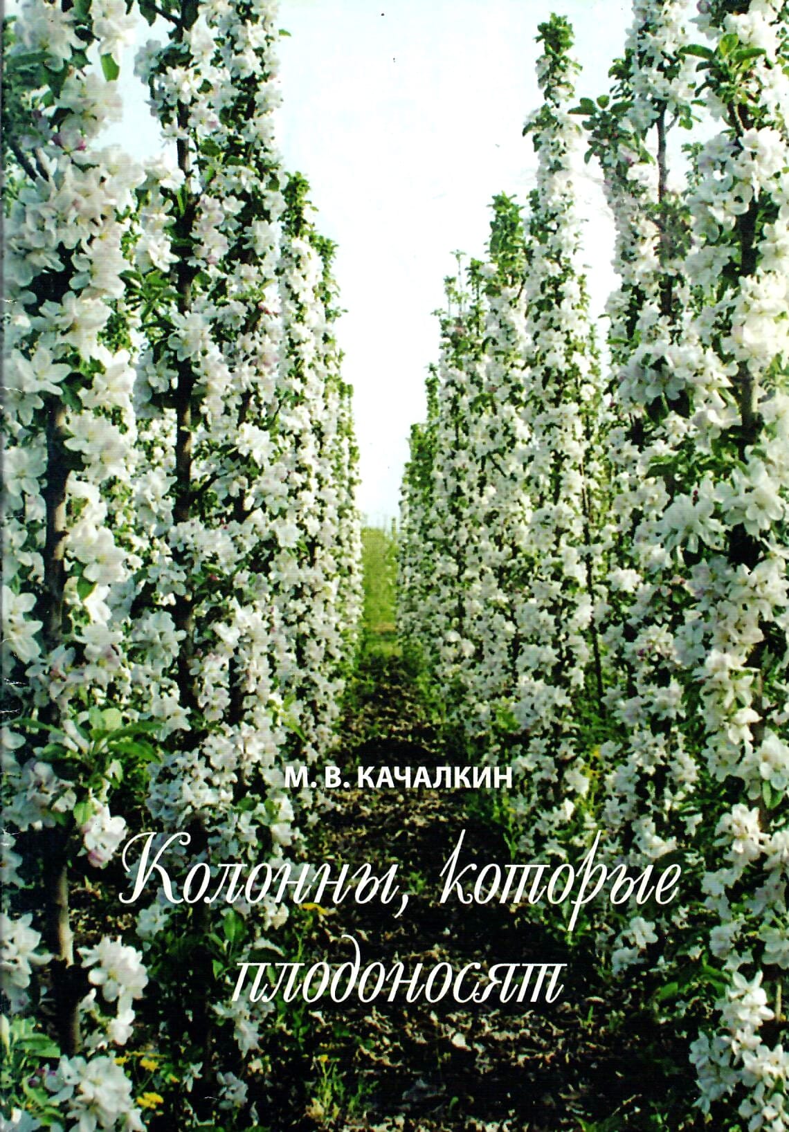 Колонны, которые плодоносят. М. В. Качалкин. Коллекционная литература