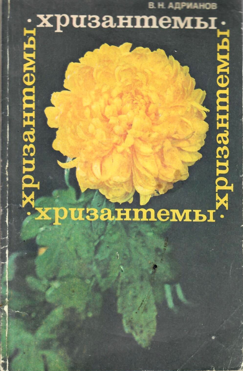 Хризантемы. В. Н. Адрианов. Коллекционная литература