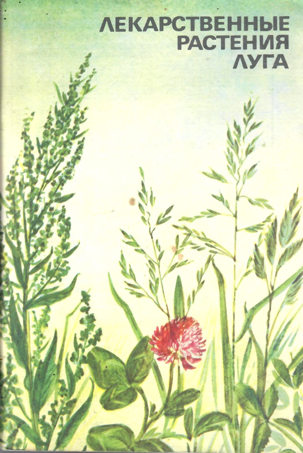 Лекарственные растения луга. Н. Н. Сафронов. Коллекционная литература