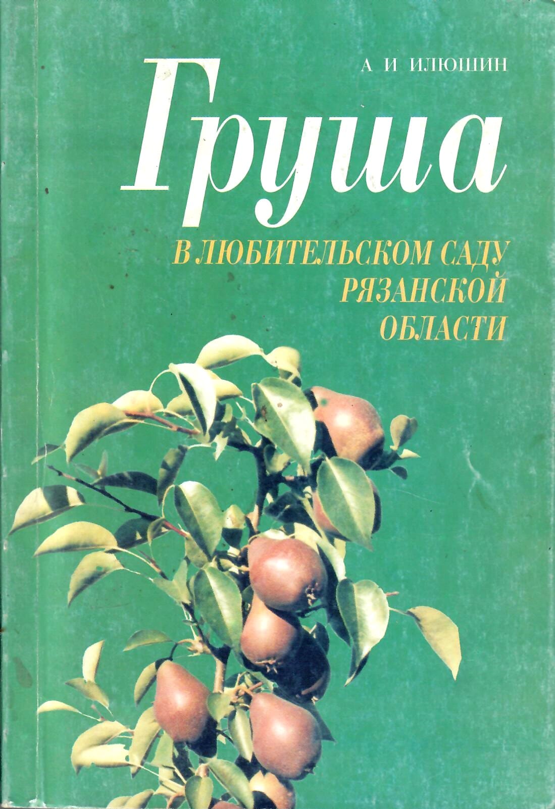 Груша в любительском саду Рязанской области. А. И. Илюшин. Коллекционная литература