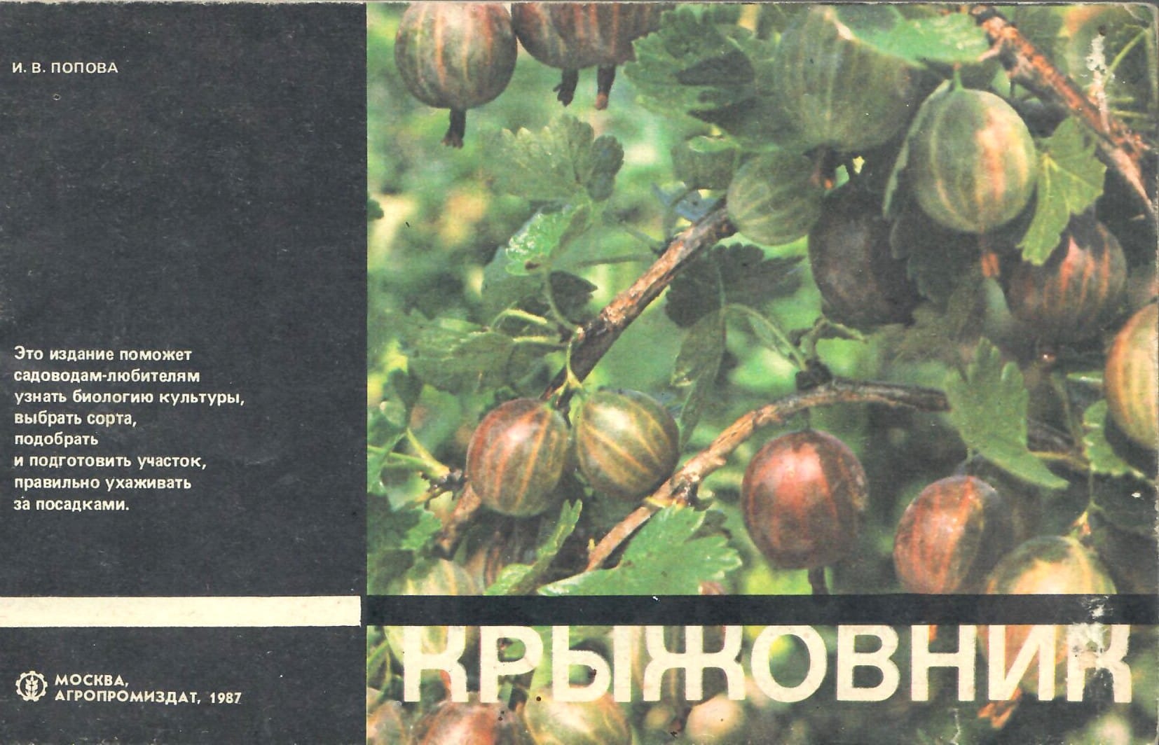 Крыжовник. Попова И. В. Коллекционная литература