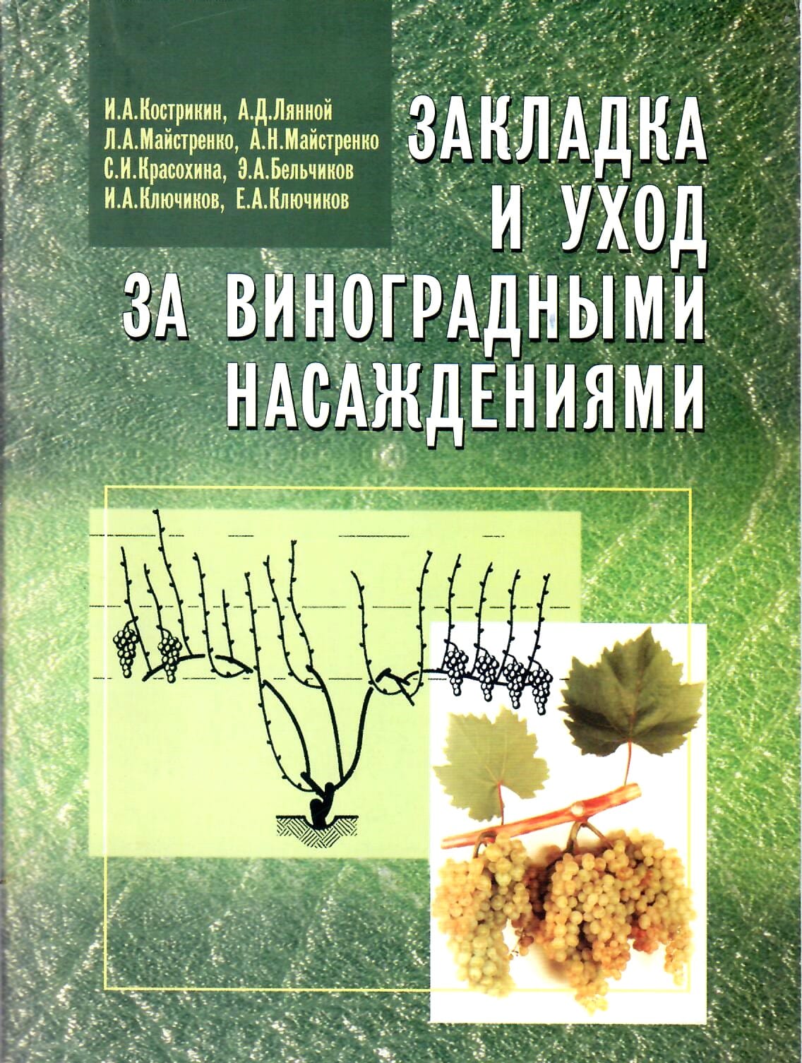 Закладка и уход за виноградными насаждениями. И. А. Кострикин, А. Д. Лянной, Л. А. Майстренко, А. Н. Майстренко, С. И Красохина, Э. А. Бельчиков, И. А. Ключиков, Е. А. Ключиков. Коллекционная литература