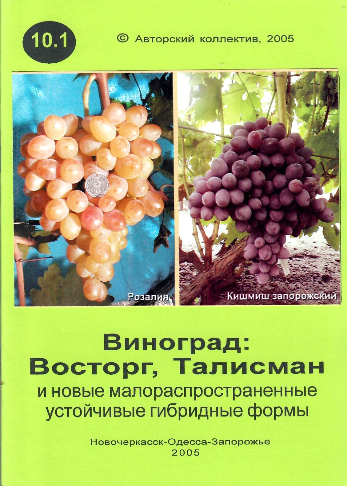 Виноград: Восторг, Талисман и новые малораспространённые устойчивые гибридные формы. Кострикин И. А., Лянной А. Д., Майстренко Л. А., Майстренко А. Н., Красохина С. И., Ключиков И. А., Ключиков Е. А. Коллекционная литература