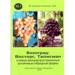 Виноград: Восторг, Талисман и новые малораспространённые устойчивые гибридные формы. Кострикин И. А., Лянной А. Д., Майстренко Л. А., Майстренко А. Н., Красохина С. И., Ключиков И. А., Ключиков Е. А. Коллекционная литература