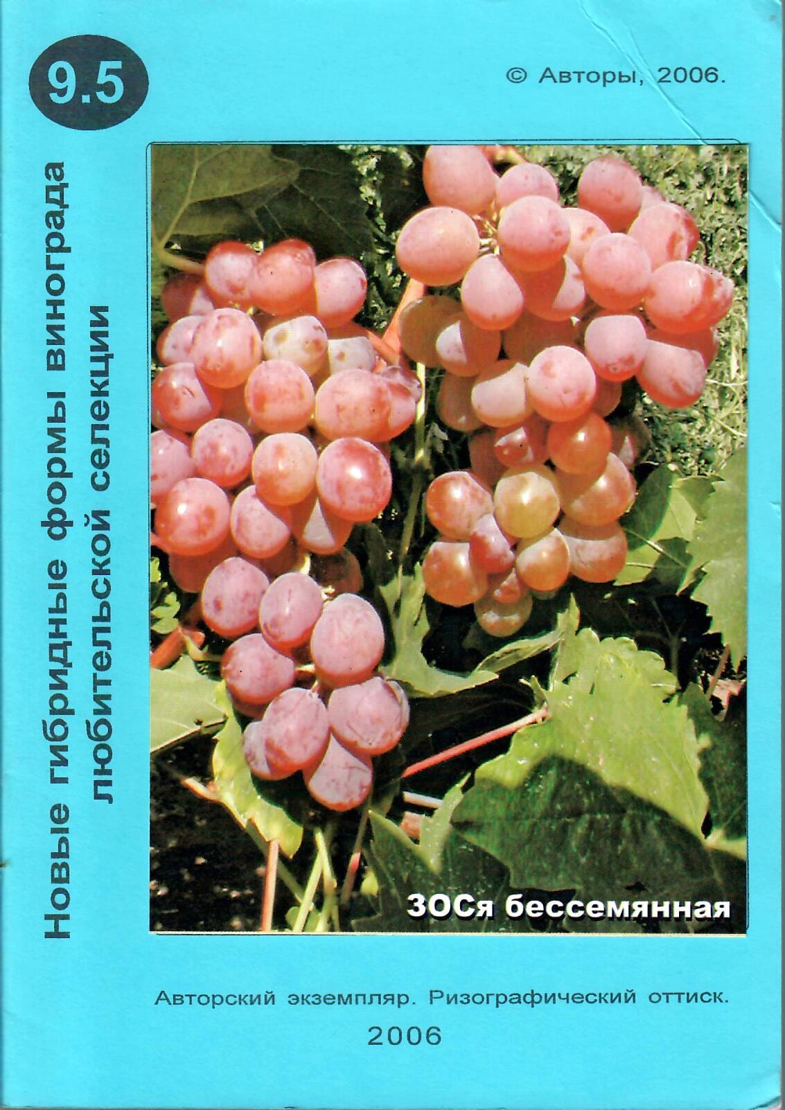 Новые гибридные формы винограда любительской селекции (часть 5). Е. А. Ключикова, Е. А. Ключиков. Коллекционная литература