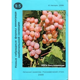 Новые гибридные формы винограда любительской селекции (часть 5). Е. А. Ключикова, Е. А. Ключиков. Коллекционная литература