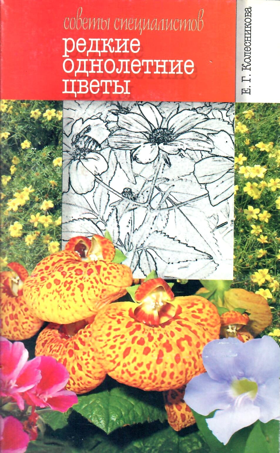 Редкие однолетние цветы. Советы специалистов. Е. Г. Колесникова. Коллекционная литература
