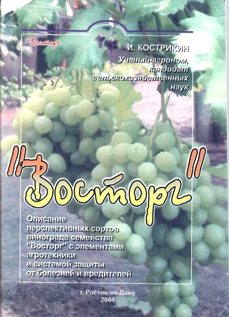 Восторг. И. Кострикин. Коллекционная литература