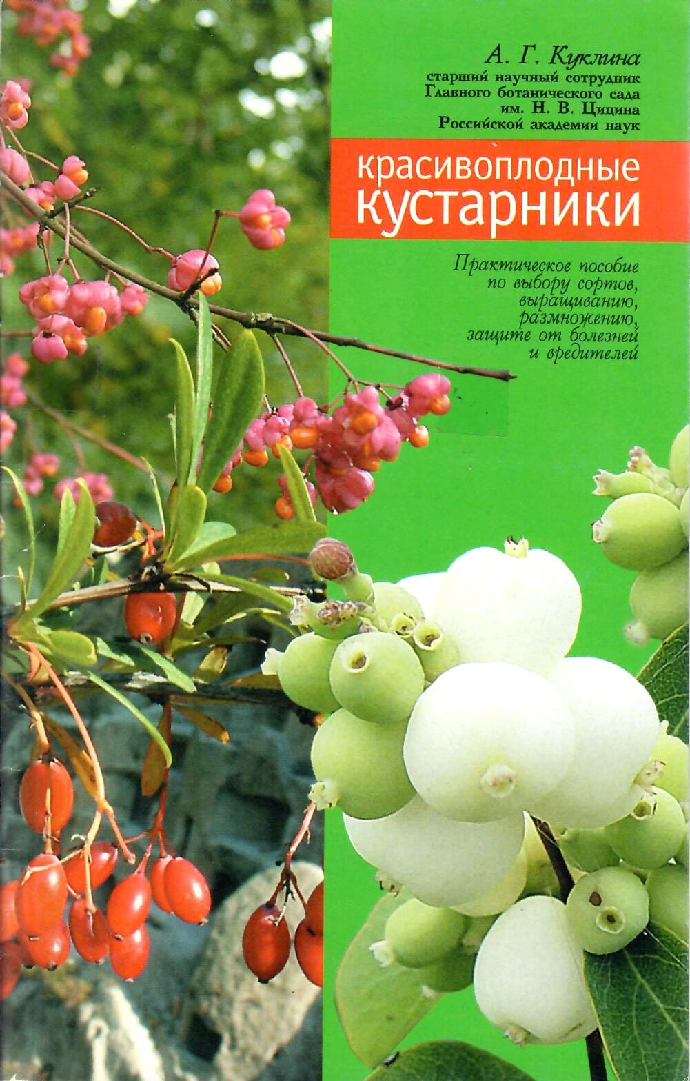 Красивоплодные кустарники. А. Г. Куклин. Коллекционная литература