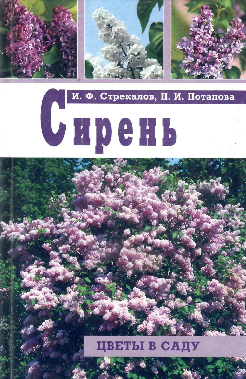 Сирень. И. Ф. Стрельников, Н. И. Потапова. Коллекционная литература