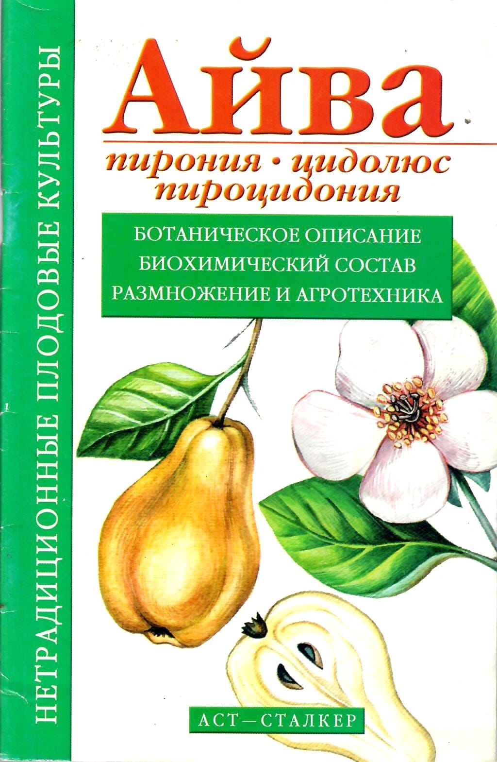 Айва, пирония, цидолюс, пироцидония.В. Н. Меженский. Коллекционная литература