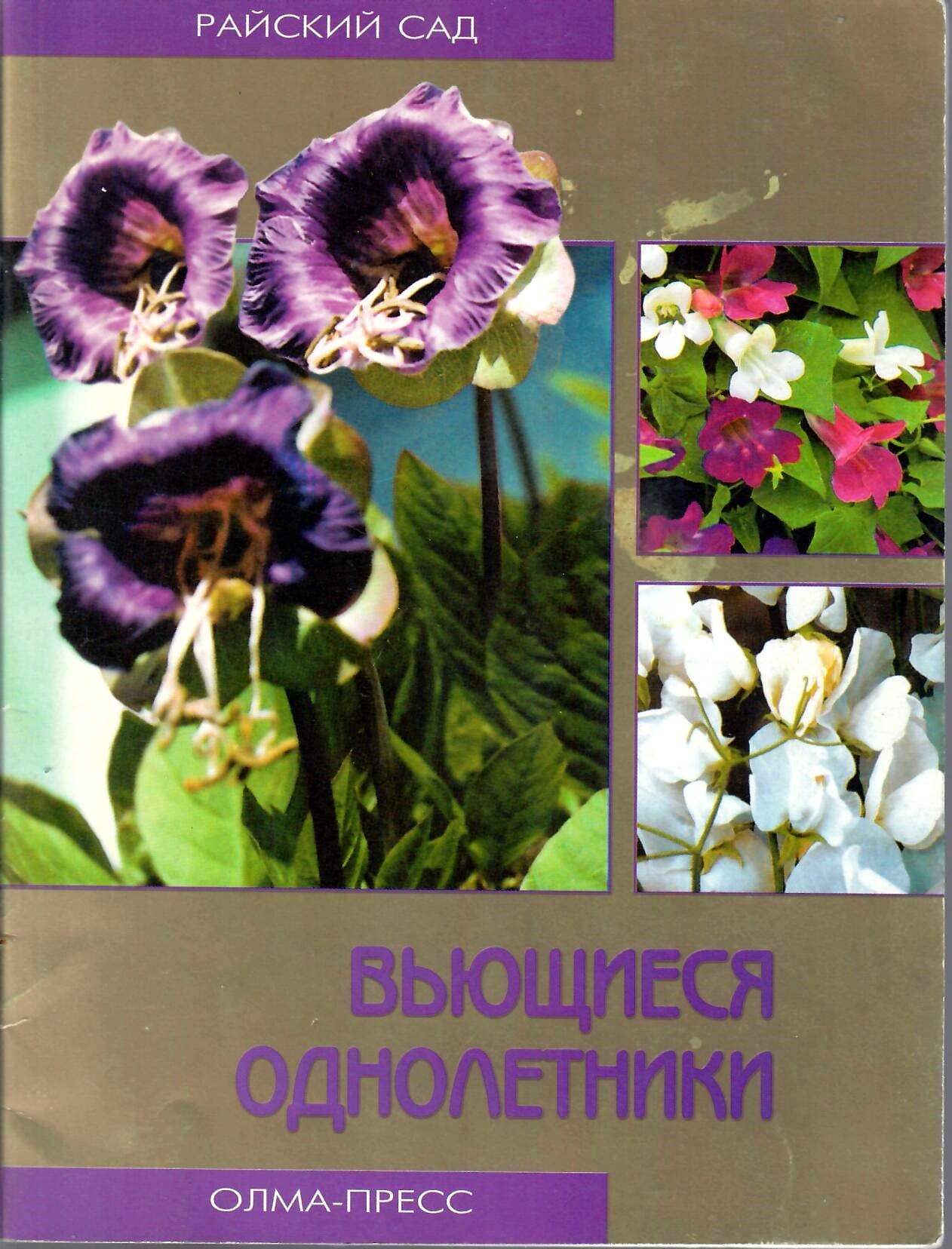Вьющиеся однолетники. Л. А. Китаева. Коллекционная литература