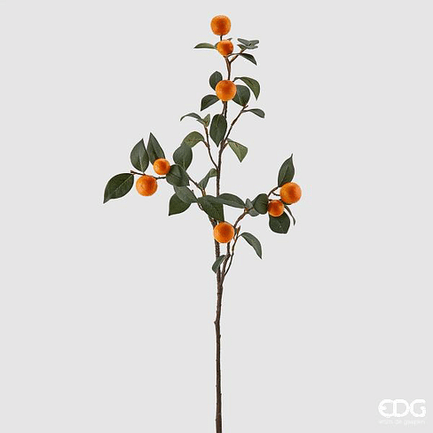 Ветка кумквата EDG Enzo De Gasperi Арт.250574,3