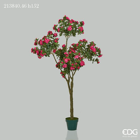 Азалия в горшке EDG Enzo De Gasperi Арт.213840,46