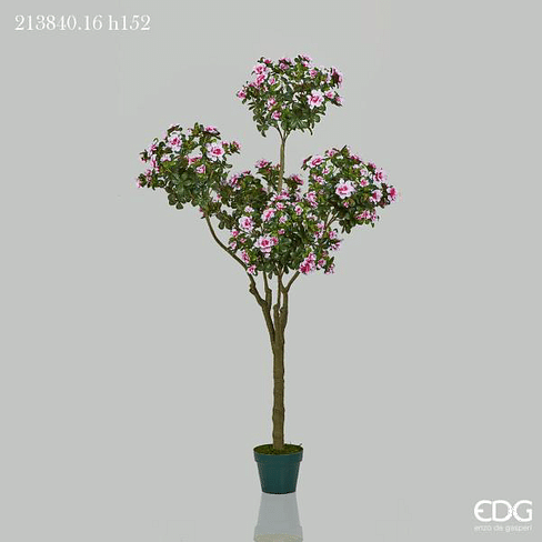 Азалия EDG Enzo De Gasperi Арт.213840,16