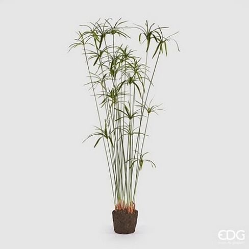 Папирус EDG Enzo De Gasperi Арт.230384,700