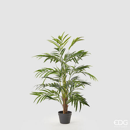 Пальма Арека EDG Enzo De Gasperi Арт.232542,700