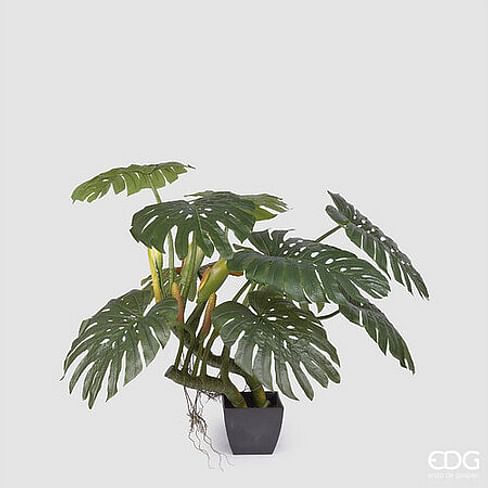 Монстера EDG Enzo De Gasperi Арт.235121,700