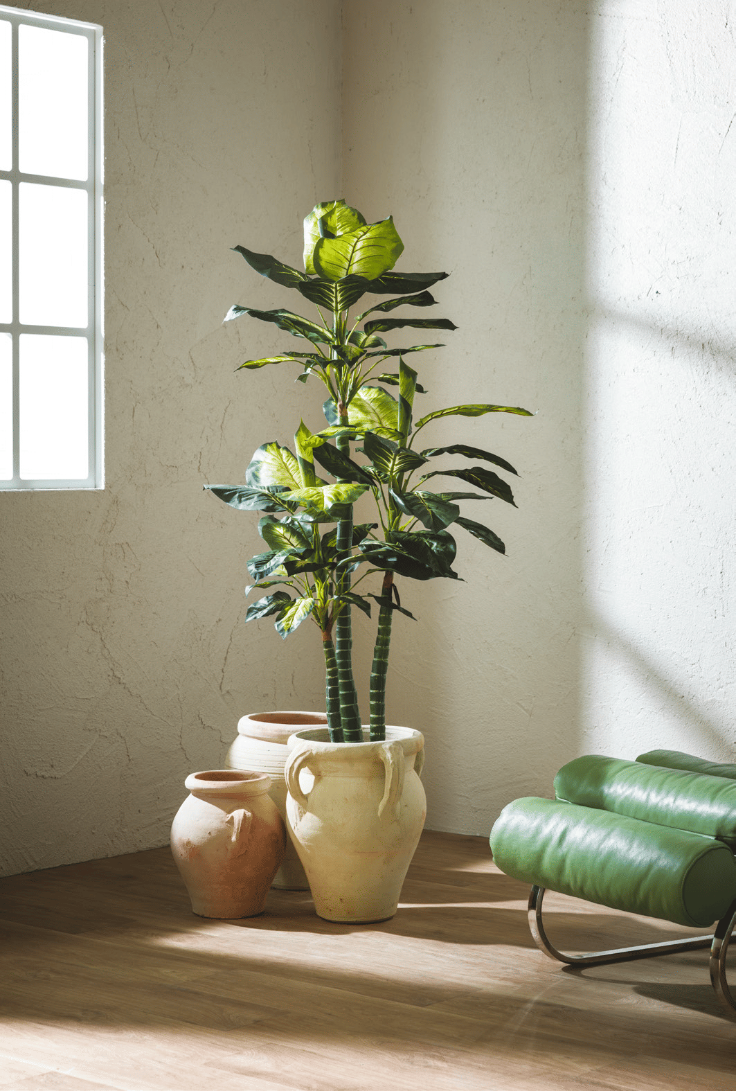 Диффенбахия EDG Enzo De Gasperi Арт.232740,720