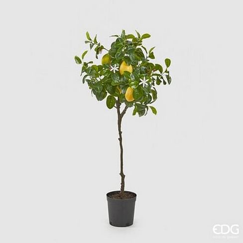 Лимонное дерево EDG Enzo De Gasperi Арт.250619,200